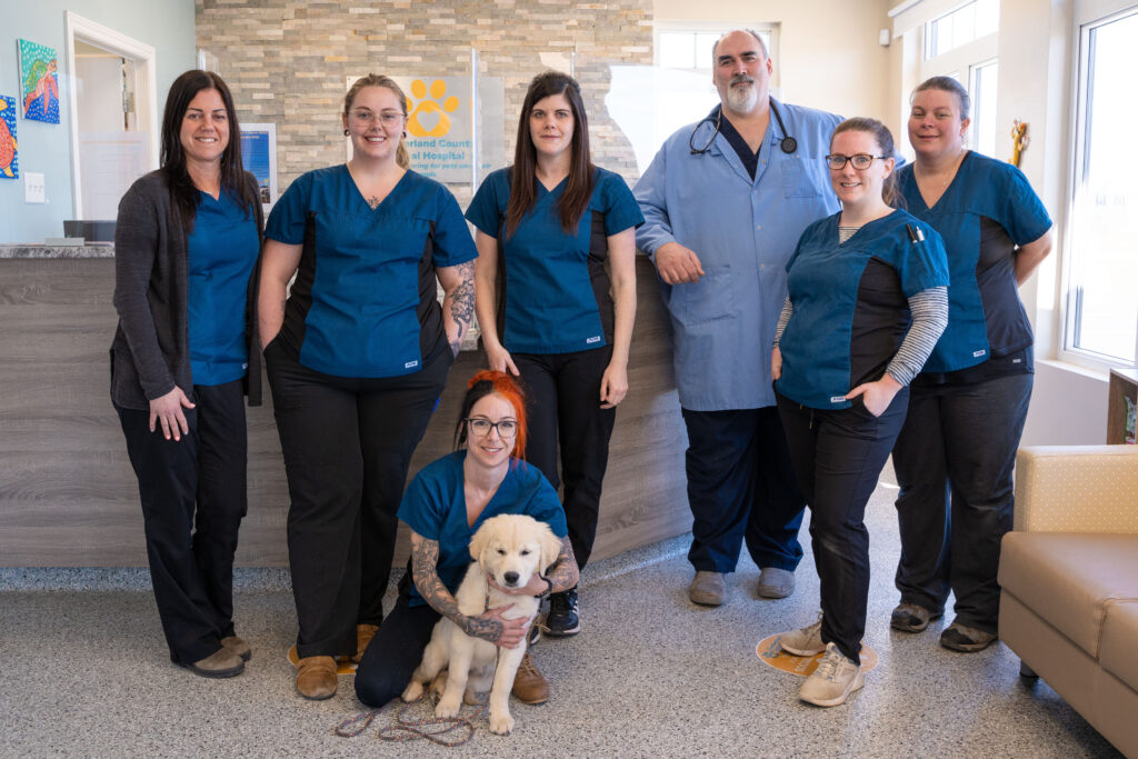 Cumberland Animal Hospital Staff Photo