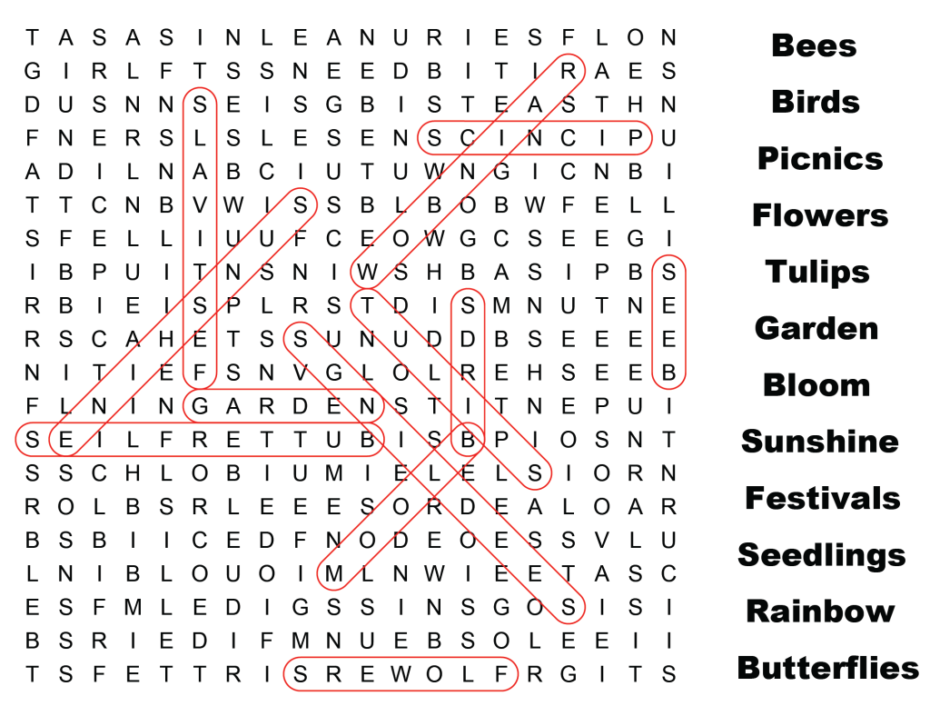 Word Search Solution from Cumberland Life Issue 5